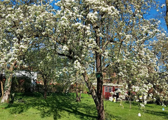 Marthas Insel Lejlighed *