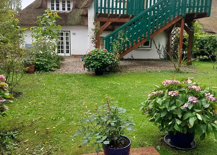 Marthas Insel * Oldenswort