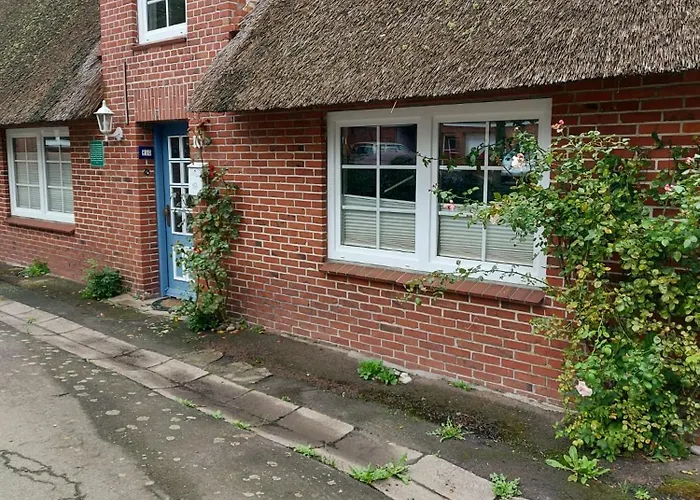 Marthas Insel * Oldenswort